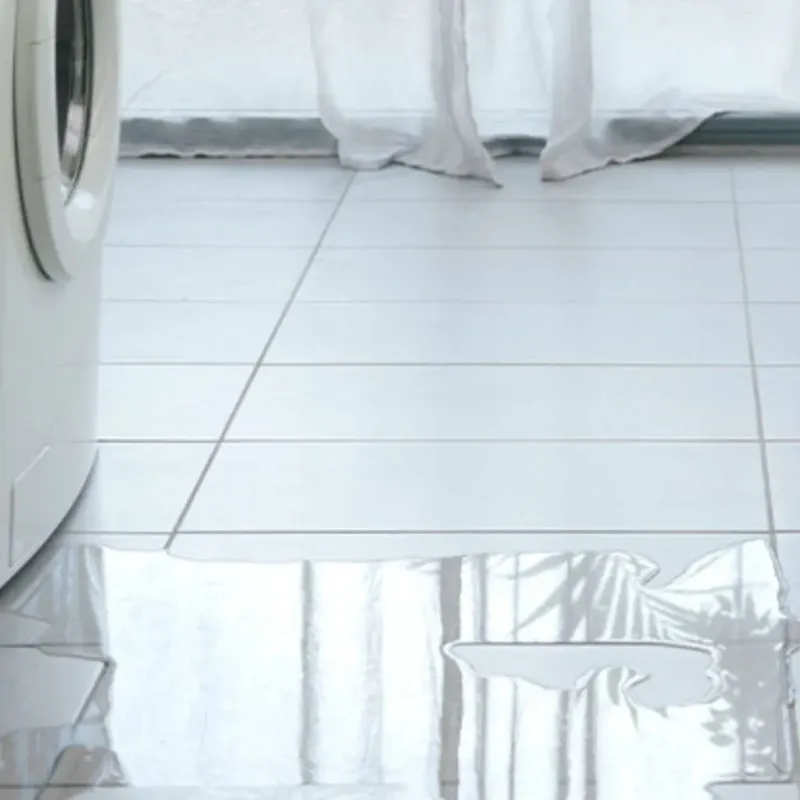 Appliance Leak Cleanup in Adair County, IA