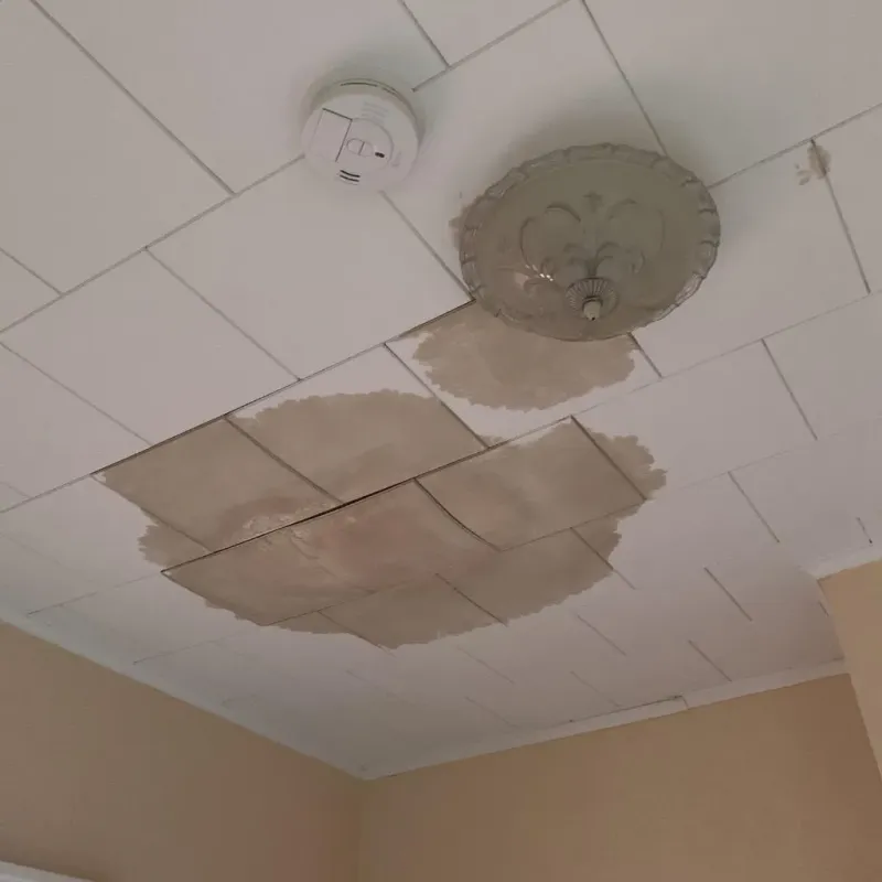Ceiling Water Damage Repair in Adair County, IA