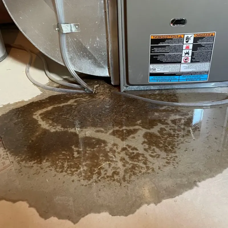 Pipe Burst and Leak Restoration in Adair County, IA