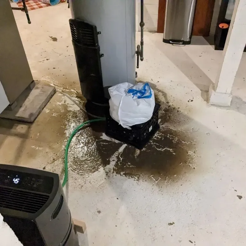 Sewage Backup Cleanup Service in Adair County, IA